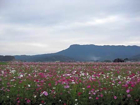 Grand Plaza Nakatsu Hotel