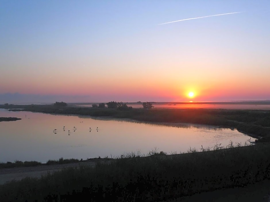 Chambre les flamants, climatisation, avec vue imprenable sur les étangs, petit déjeuner offert