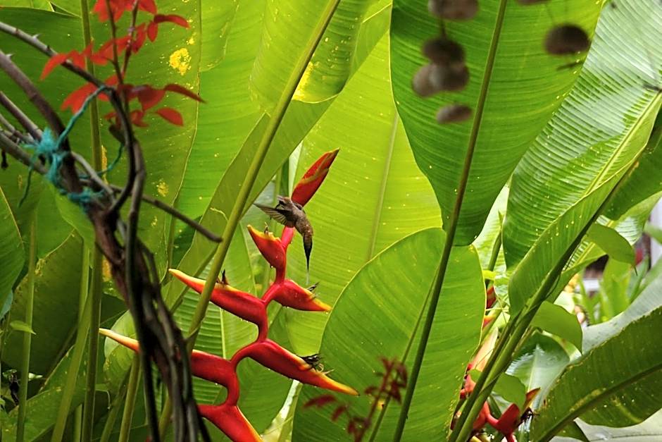 Hotel Casitas Mar y Luz
