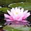 Wellness- und Gartenhotel Heusser