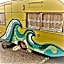 Bazils hostel & Surf School
