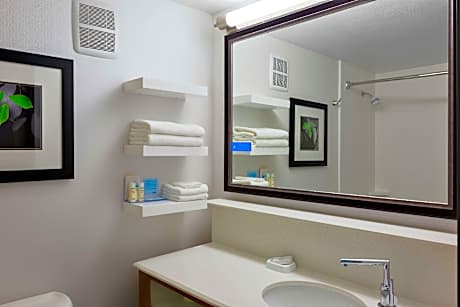 1 King W/Sofabd/Microwv/Fridge Nonsmoking