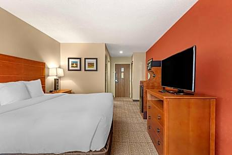 1 King Bed, 1-Person Sofa bed, Nonsmoking