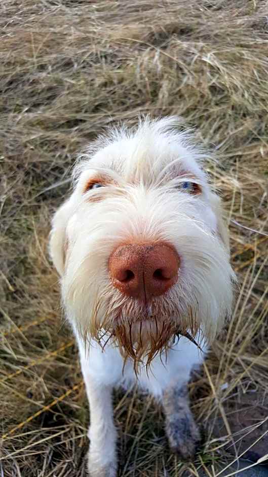 Wettstone Guest Ranch