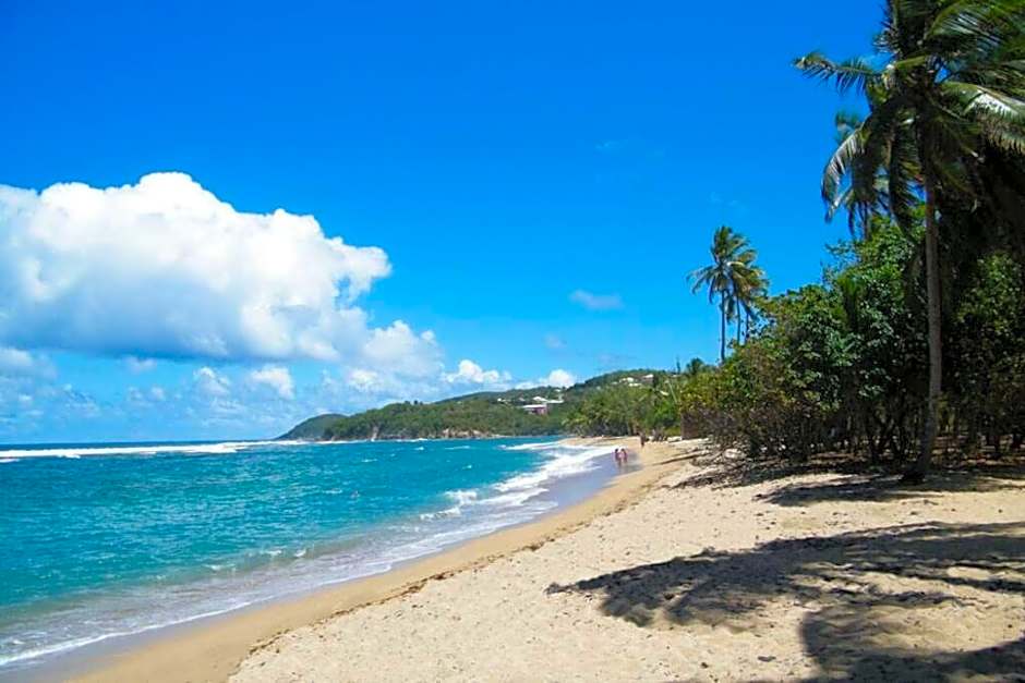Le Grand Bleu - Résidence de la Baie - Tartane
