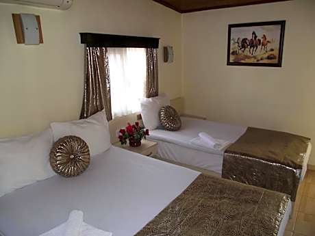 Economy Triple Room