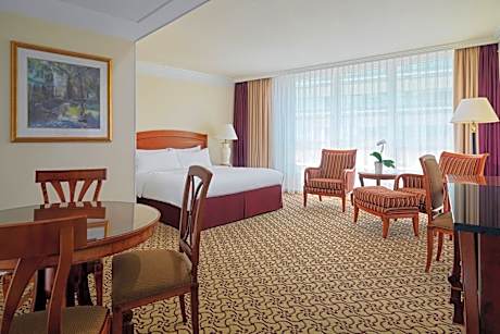 Studio with 1,8 x 6.6 ft Bed