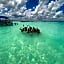 Hotel Solecito Bacalar - Free Bikes and Paddles