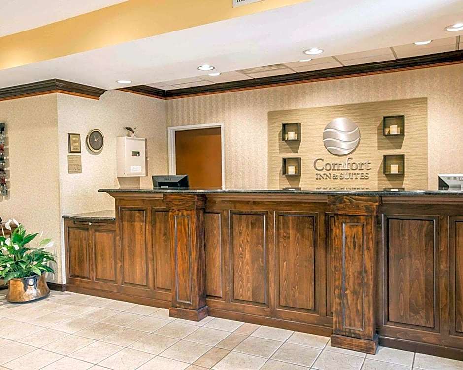 Comfort Inn & Suites at I-85