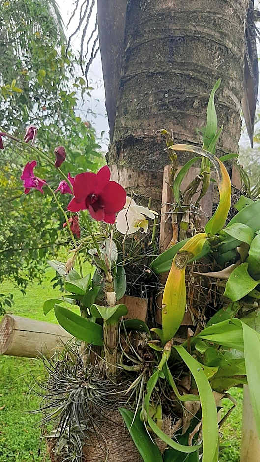 Rancho Esperança, pouso e comida a lenha