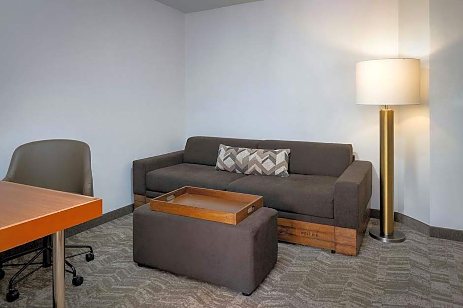 Photo 1 of 1 of Larger Studio 1 King Bed