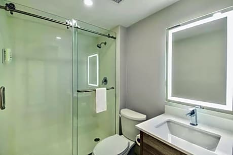 1 King Bed Non-Smoking