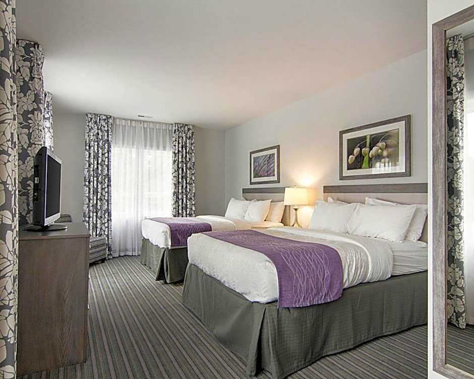 Comfort Inn Williamsburg Gateway
