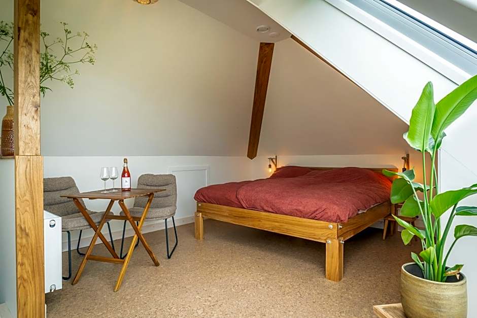 Wijngaard de Kroon van Texel