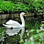 B&B Canal Deluxe