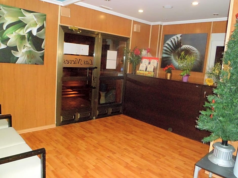 Auto Check In Hotel Las Nieves