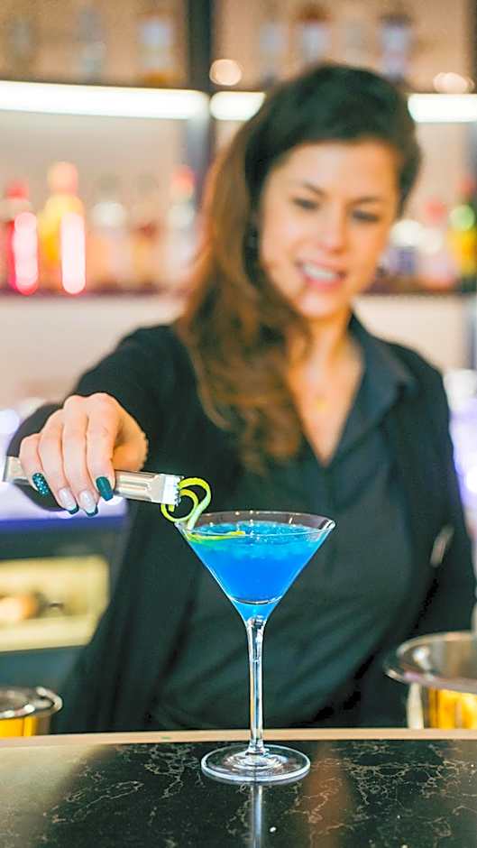 The Jangle Hotel - Paris - Charles de Gaulle - Airport