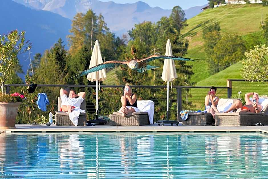Hotel Panorama