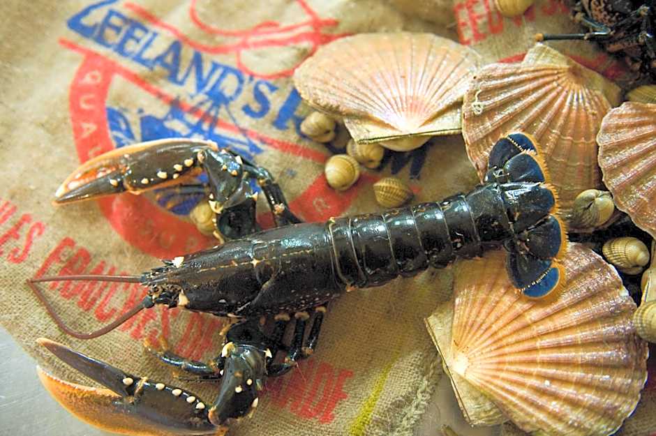 Hostellerie Schuddebeurs