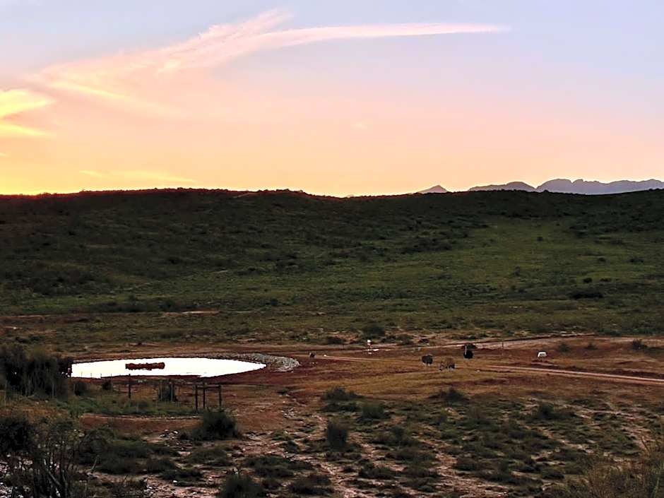 Klein Karoo Game Lodge