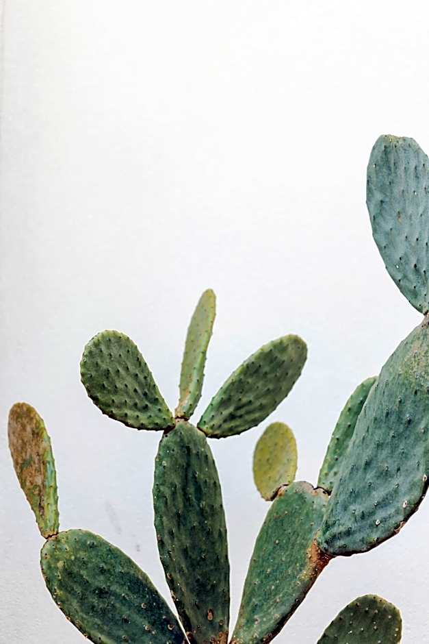 Domìa Boutique Hotel e Cucina