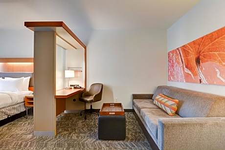 SpringHill Suites by Marriott Shreveport-Bossier City/Louisiana Downs