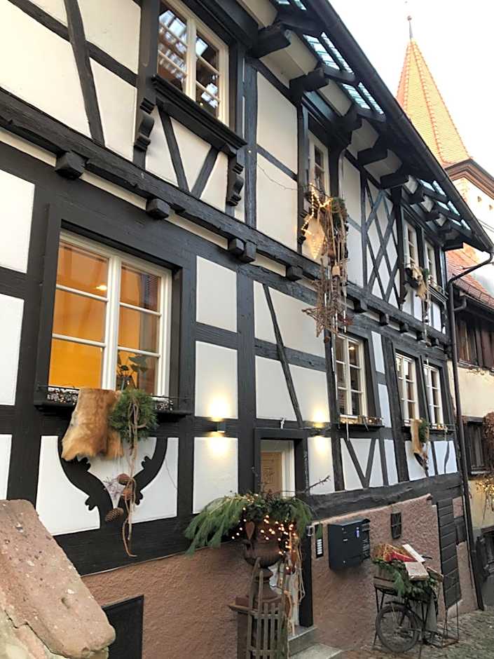 der Gänsbühl auf der Stadtmauer