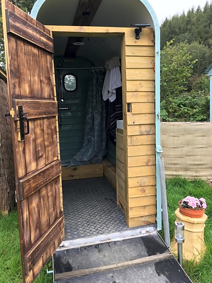 Belan Bluebell Woods Shepherds Hut