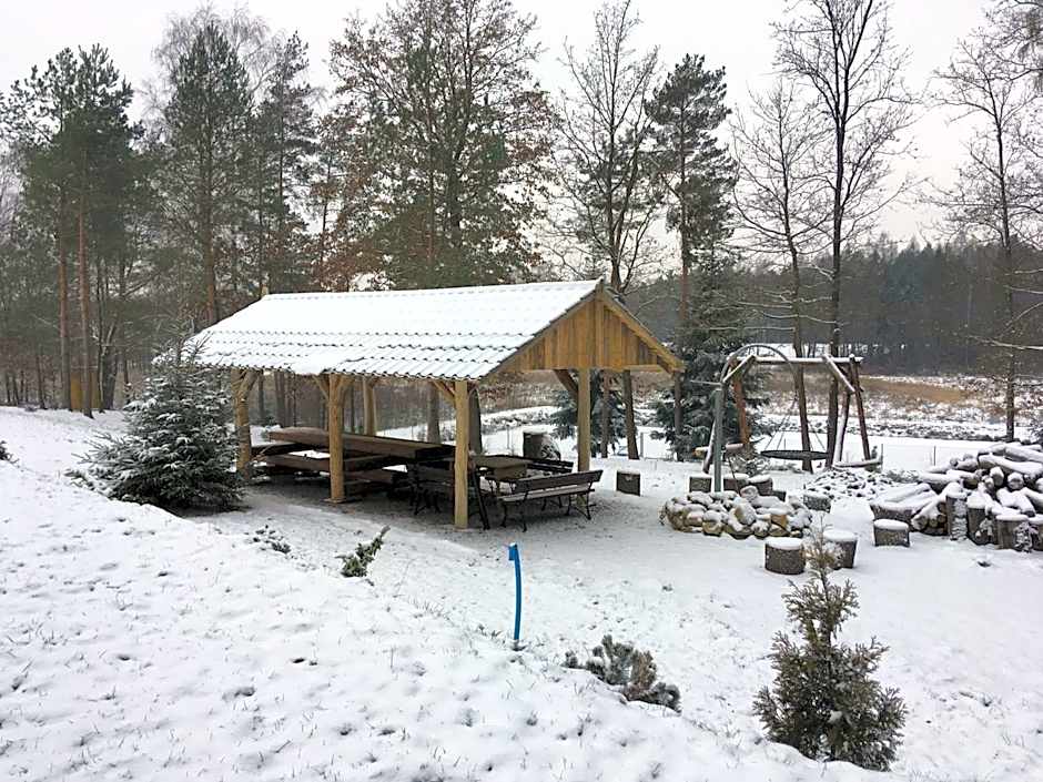 Komfortowy Leśny Dworek