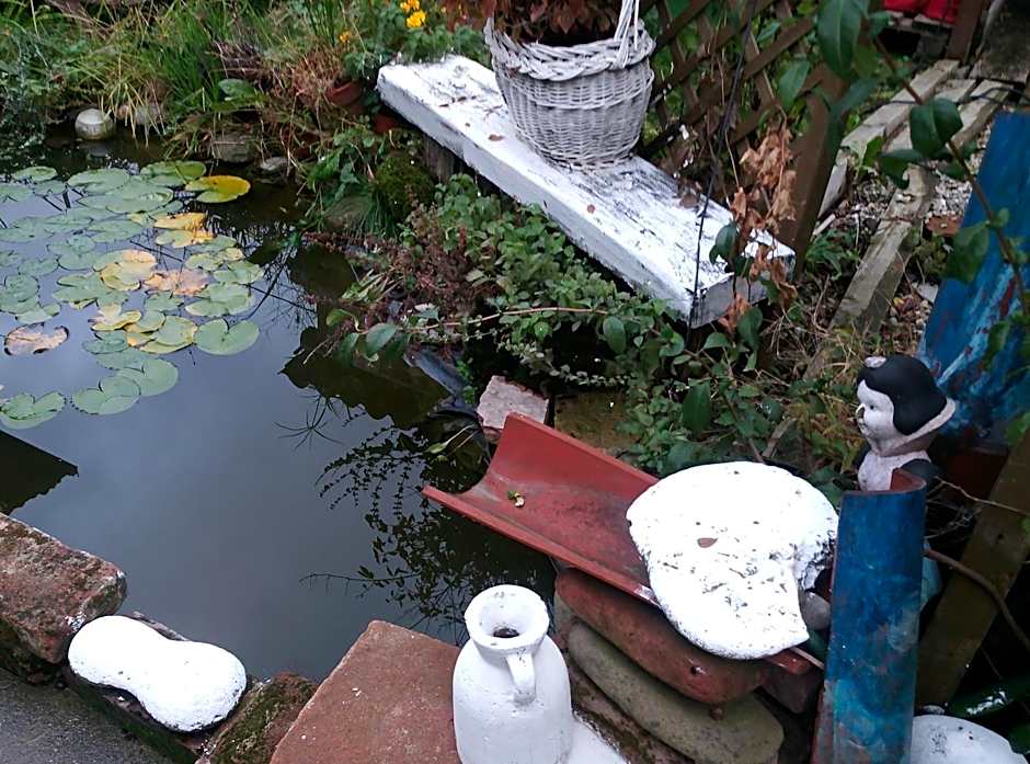 B&B Ma Maison