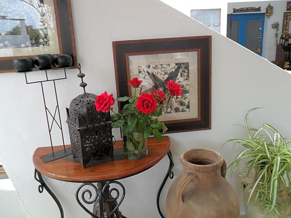Hotel O Palmo