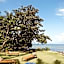 Punta Punta Surf Retreat
