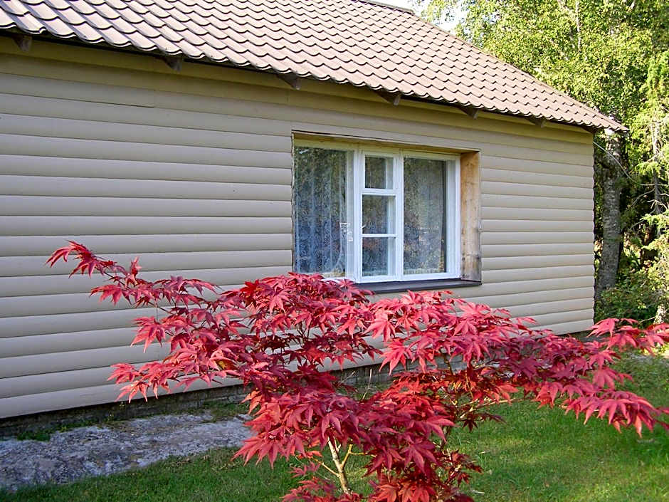 Kipi-Koovi Holiday Centre