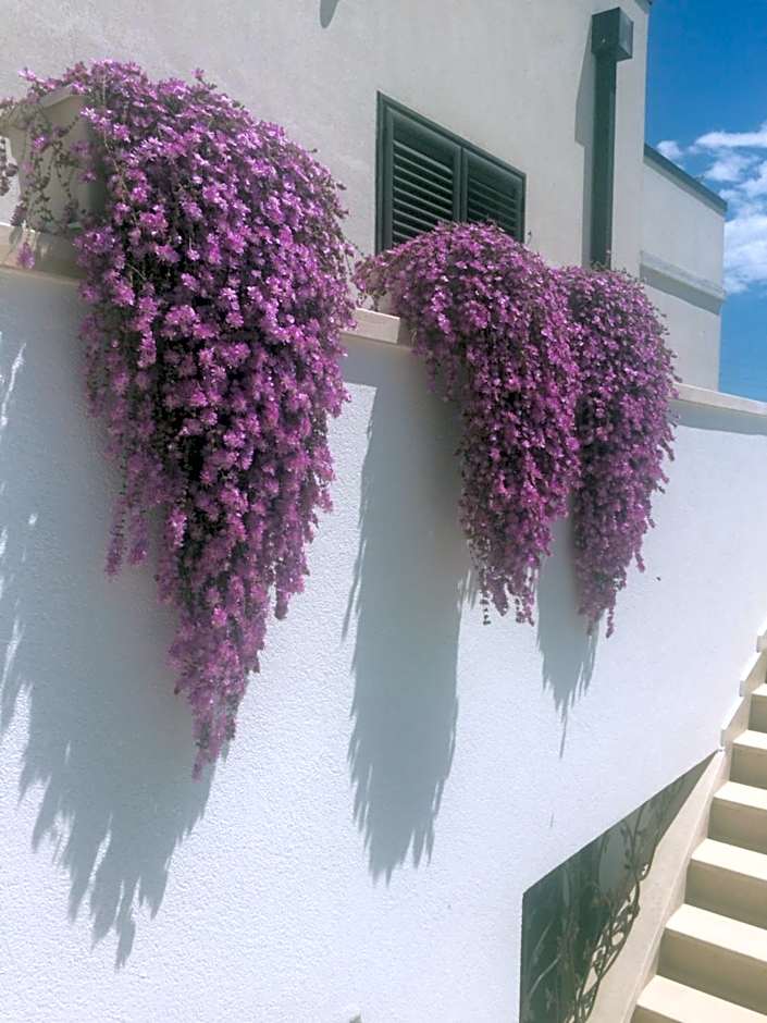 All'ombra del Carrubo - Metaponto