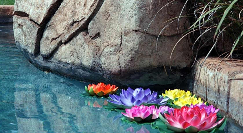 African Silhouette Guesthouse