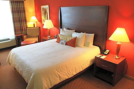 1 King Mobility/hearing Accessible Ri Shwr Vis Firealrm/door/phn Alrt Comp Wifi- Bed With Adjustable