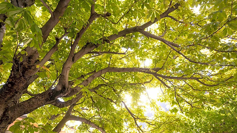 Hotel-Restaurant Eyholz