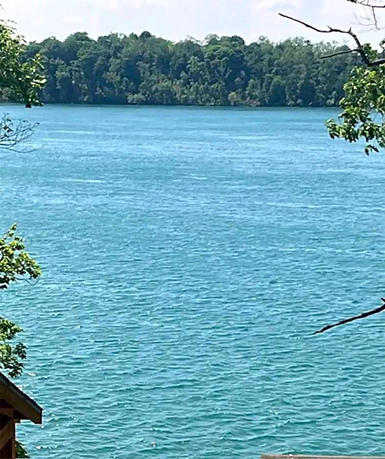 Niagara River Estate