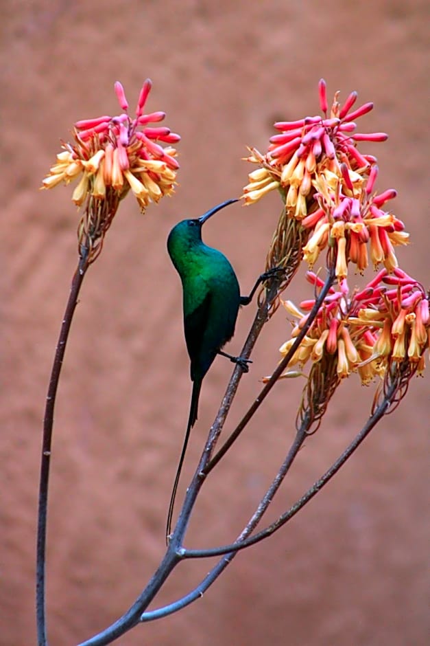 Bosch Luys Kloof Nature Reserve
