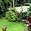 Daintree Deep Forest Lodge