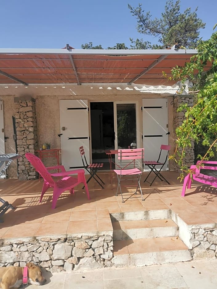 Le Mas de Cocagne - Gite et Chambre d'hôte - Piscine et SPA