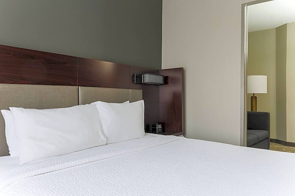 SpringHill Suites by Marriott Austin Parmer/Tech Ridge