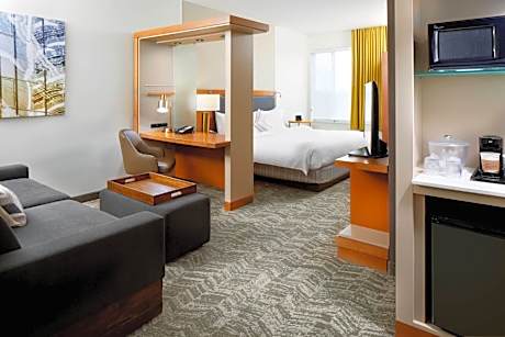 King Suite with Sofa Bed