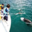 Seacruise House Navio