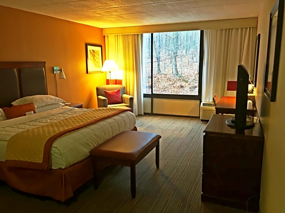 Wyndham Garden Pittsburgh Airport