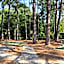 SpringHill Suites by Marriott Pinehurst Southern Pines
