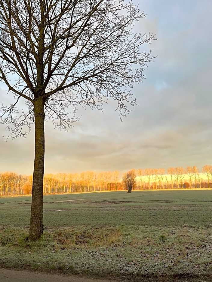 De Weide Wereld