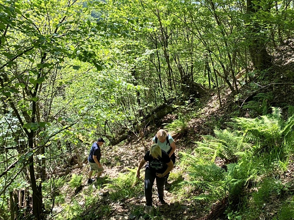 B&B La Locanda del Cinghiale