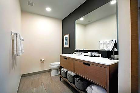 Penthouse Suite, 1 Bedroom Suite, 1 King, City View, Top Floor