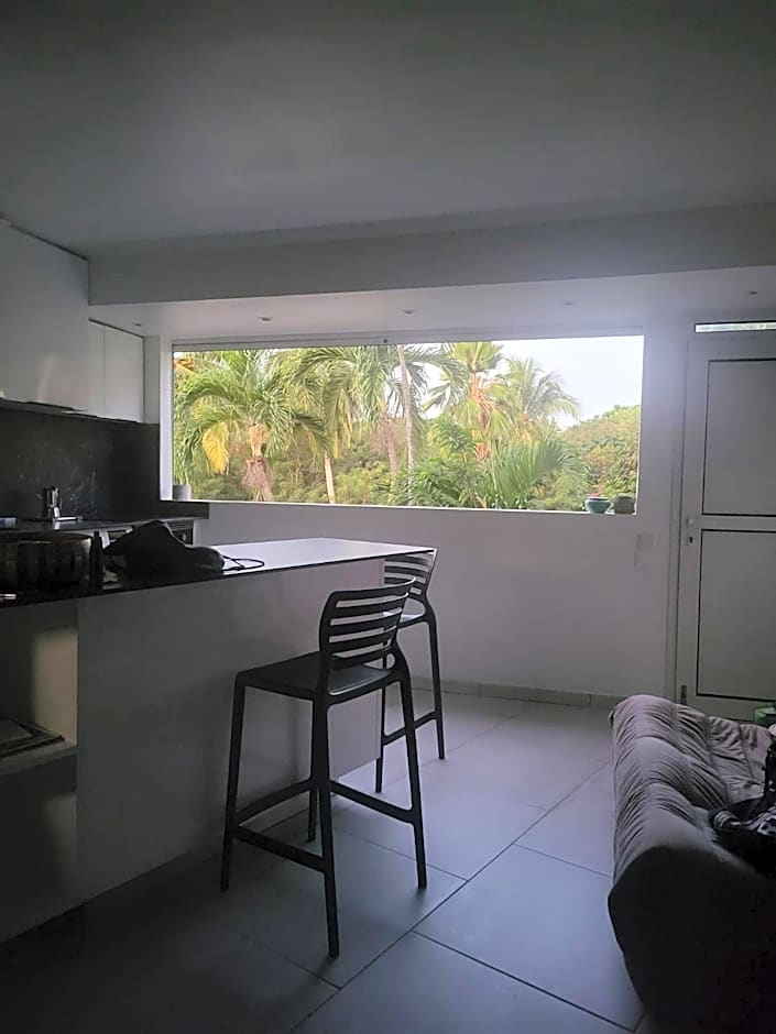 Sud Madinina - Sainte Anne